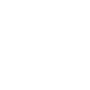 J20 Logo